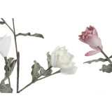 JA/JA-182227-1.JPG