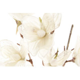 JA/JA-188747-1.JPG