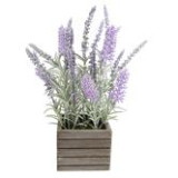 JA/JA-189237.JPG