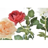 JA/JA-194200-2.JPG