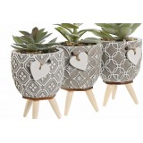 JA/JA-212367-1.JPG