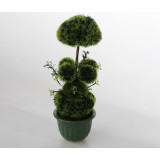 JA/JA-81208.JPG