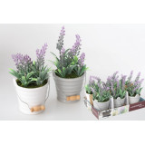 JA/JA-84135.JPG