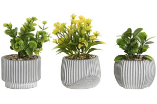 Dekorace \PLANT\ v květináči 8x8x13/3dr.