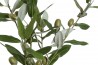 Větvička olivovníku do vázy 30x25x103cm