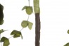 Větvička do vázy \GREEN\ 50x30x90cm