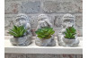 Dekorace \BUDDHA\ cement/PE 8.5x7x11cm