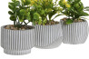 Dekorace \PLANT\ v květináči 8x8x13/3dr.