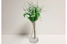 Konvalinky do vázy 30x15cm/svazek