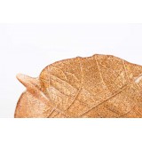 LD/LD-105001-1.JPG