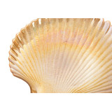 LD/LD-105093-1.JPG
