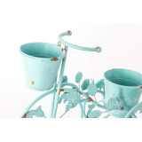 LD/LD-115697-1.JPG