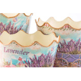LD/LD-116804-1.JPG