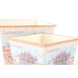 LD/LD-116807-1.JPG