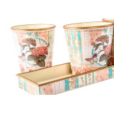 LD/LD-116855-1.JPG