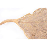 LD/LD-119624-1.JPG