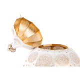 LD/LD-123625-2.JPG