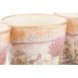 LD/LD-124003-1.JPG