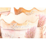 LD/LD-124006-1.JPG