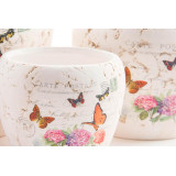 LD/LD-125040-1.JPG