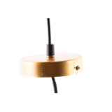 LD/LD-125231-3.JPG
