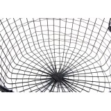 LD/LD-125295-2.JPG