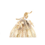 LD/LD-129564-1.JPG