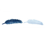 LD/LD-130769.JPG