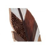 LD/LD-138726-1.JPG