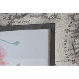 LD/LD-153852-2.JPG