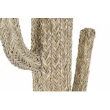 LD/LD-157626-1.JPG