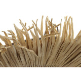 LD/LD-157630-2.JPG