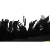 LD/LD-159918-2.JPG