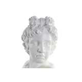 LD/LD-163513-1.JPG
