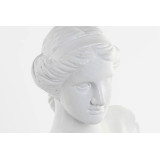LD/LD-163514-1.JPG