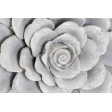 LD/LD-163714-2.JPG