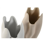 LD/LD-216257-1.JPG