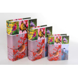 LD/LD-79124.JPG