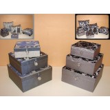 LF/LF-38223.JPG