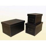 LP/LP-52001.JPG
