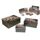 LV/LV-61116.JPG