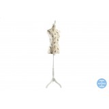 MB/MB-136550.JPG