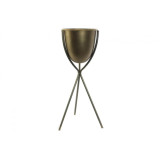 MC/MC-156454.JPG