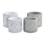 MC/MC-195897-2.JPG
