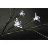 NV/NV-110458-2.JPG