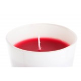 NV/NV-122519-1.JPG