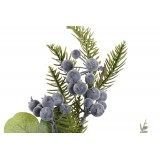 NV/NV-184130-1.JPG