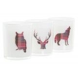 NV/NV-184372-1.JPG