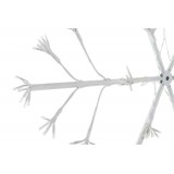 NV/NV-184571-2.JPG