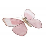 NV/NV-207109-3.JPG